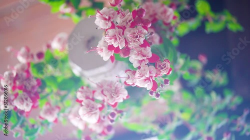 Fuchsia flower captured below the flower, camera with vortex movement, close up, pastel colors, shallow depth of field