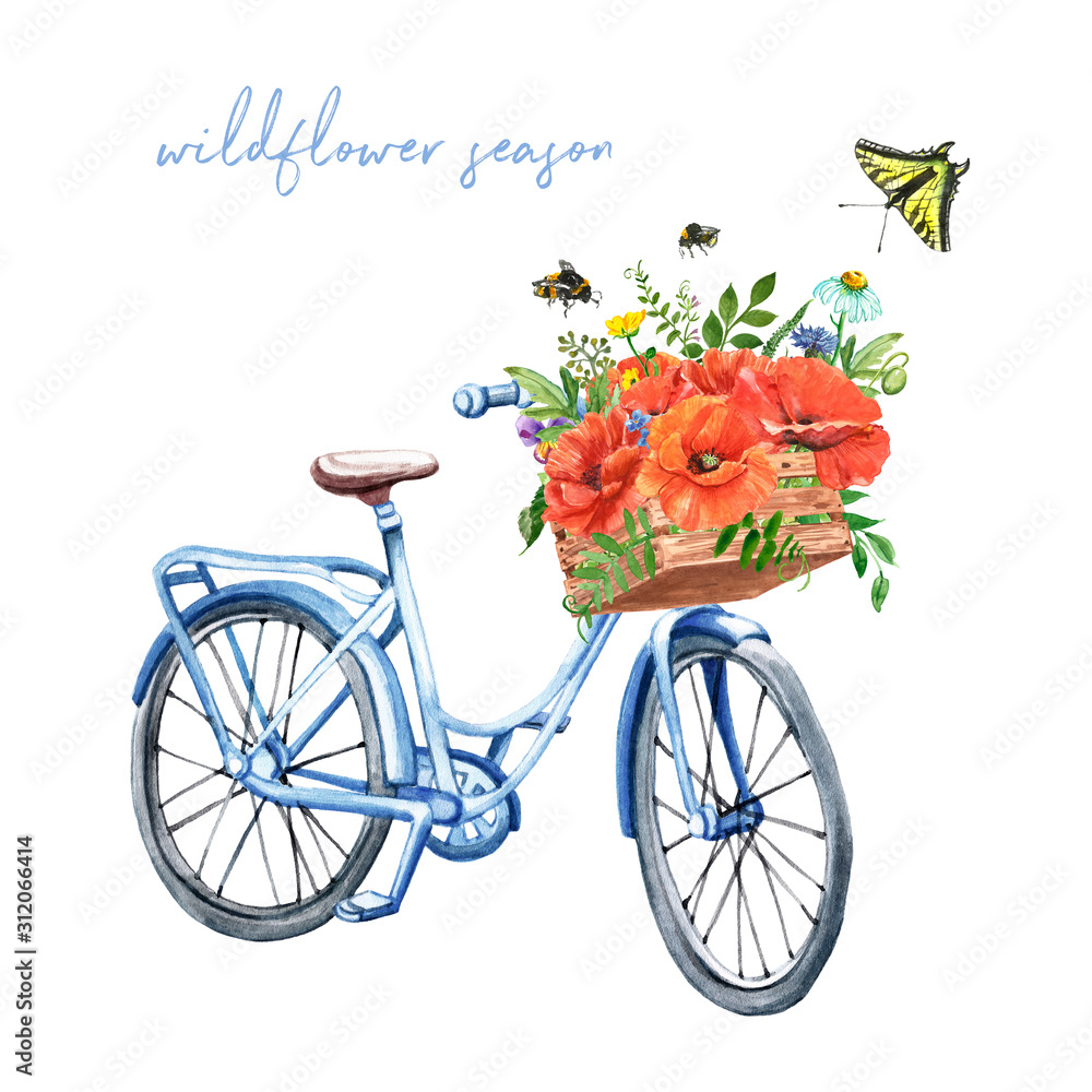 Watercolor pastel blue vintage bicycle illustration with poppy bouquet in a basket. Hand drawn bike and bunch of wildflowers and herbs, isolated on white background. Summer bike ride, provence style.