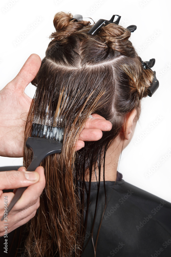 Obraz premium Hairstylist with brush applying mask to hair of her client in beauty hair salon. The process of keratin straightening, hair.