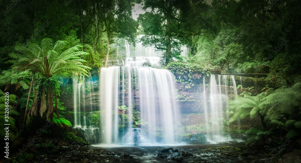 Waterfall in dense rainforest