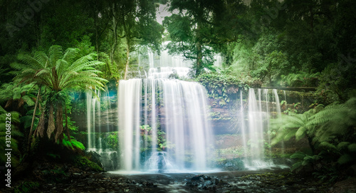 Waterfall in dense rainforest