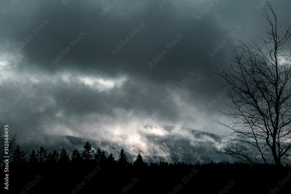Obraz premium Scenic mountain landscape view with moody dark winter vibes and low hanging clouds with fog and pine tree silhouettes. Forest Harz Mountains, National Park Harz in Germany