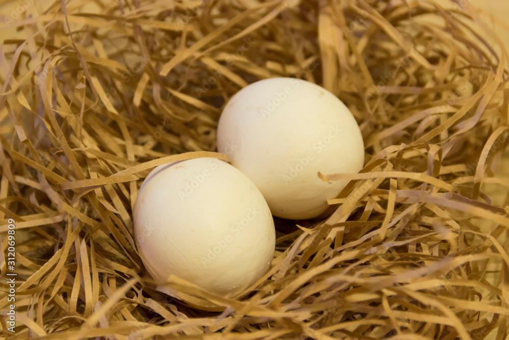 Two eggs in a chicken nest