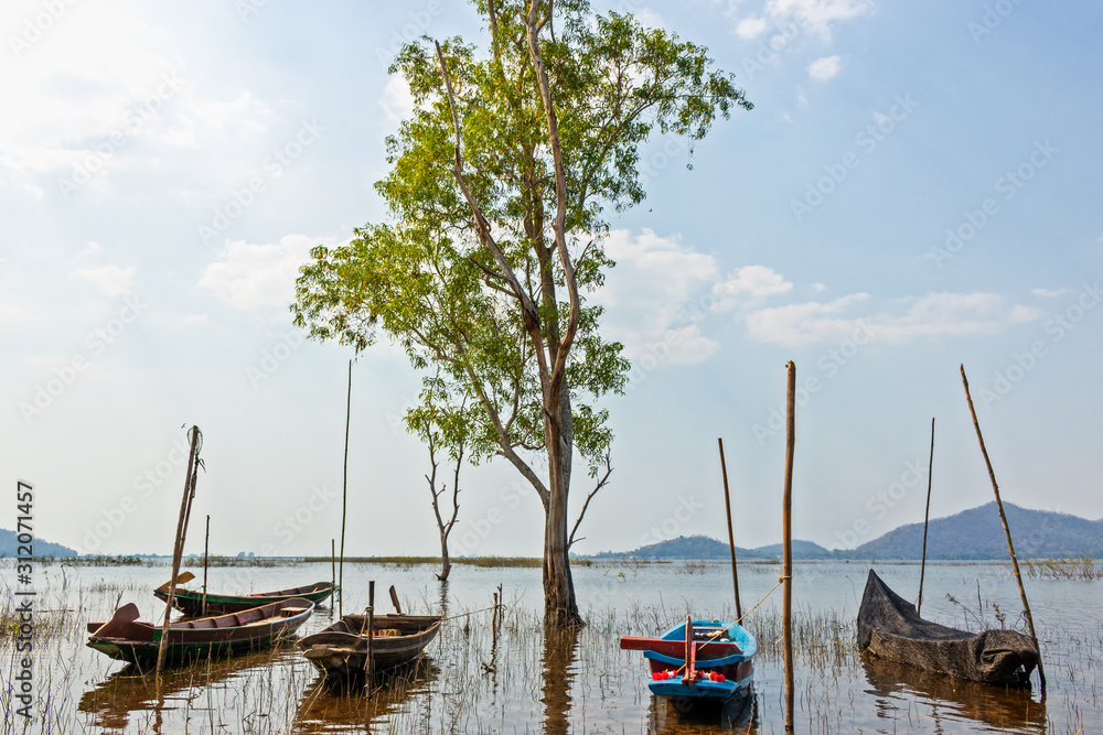Landscape tree grow in water pond  and blue sky  with mountain back. Fishing boat under the tree in water.