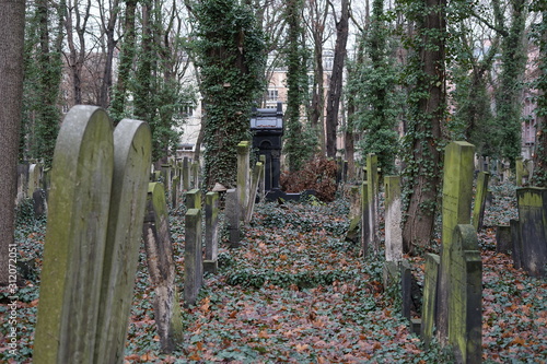 Teilansicht des Jüdischen Friedhofs in der Schönhauser Allee (Berlin)