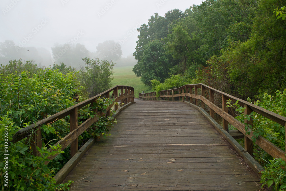 Bridge An dMeadow