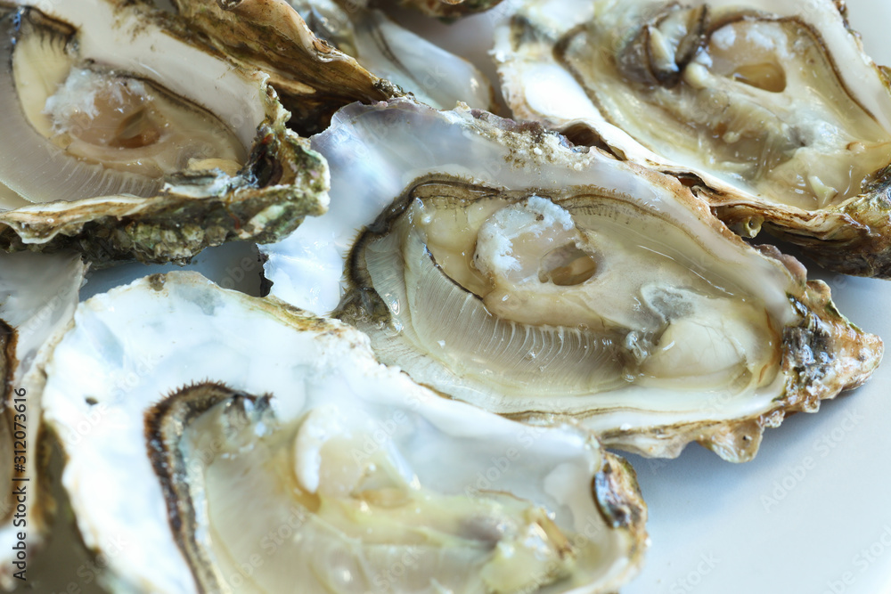 Opened oysters on the white plate, close-up Opened oysters on the white plate, close-up