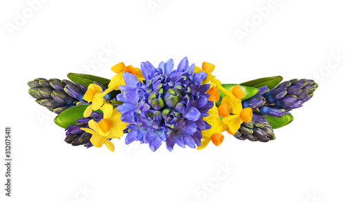 Blue hycinth and yellow nar...