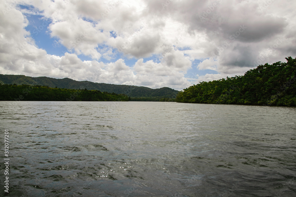 The Great Daintree River