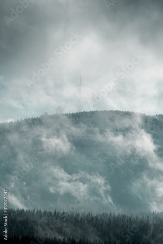 Forested mountain slope in low lying cloud with the evergreen conifers shrouded in mist in a scenic landscape view. Forest Harz Mountains, National Park Harz in Germany
