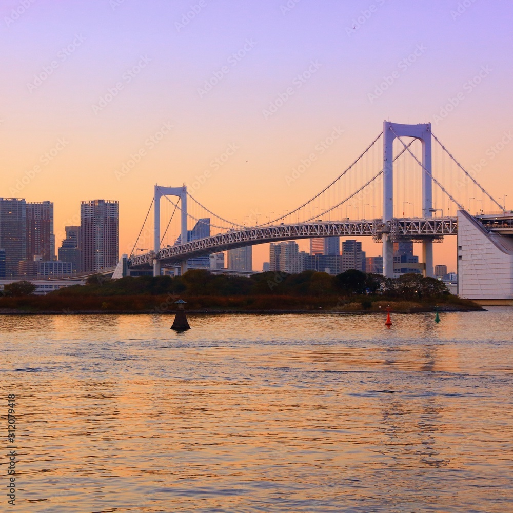 Fototapeta premium Tokyo sunset