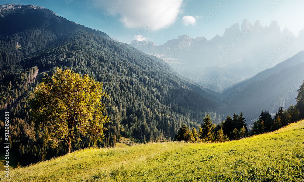 Idyllic landscape in the Alps with fresh green meadows. Scenic images of Dolomites Alps. Fantastic Sunny Morning over the mountains valley. Amazing alpine nature. Unsurpassed sunrise in the mountains