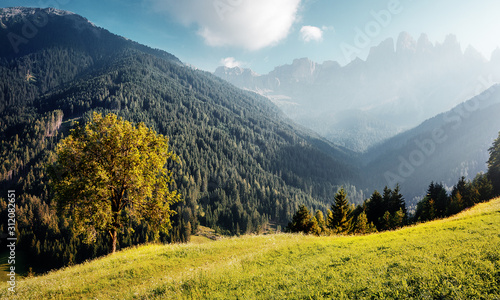 Idyllic landscape in the Alps with fresh green meadows. Scenic images of Dolomites Alps. Fantastic Sunny Morning over the mountains valley. Amazing alpine nature. Unsurpassed sunrise in the mountains