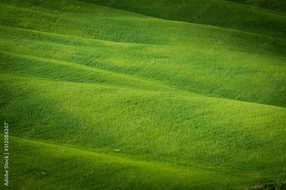 Spring view of typical Italian field
