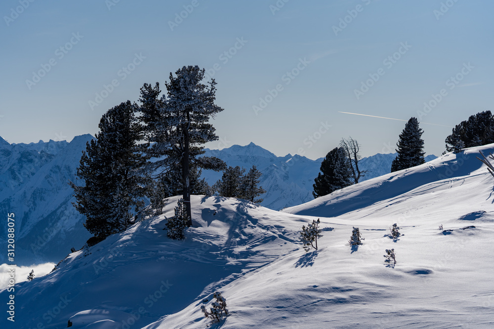 Fototapeta premium verschneite Berglandschaft im Winter