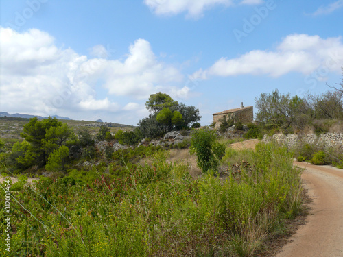 View over the dry macchia in Spain