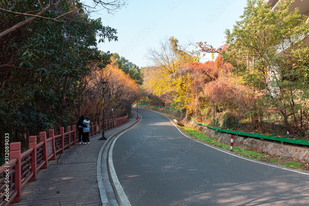 road in autumn road in autumn