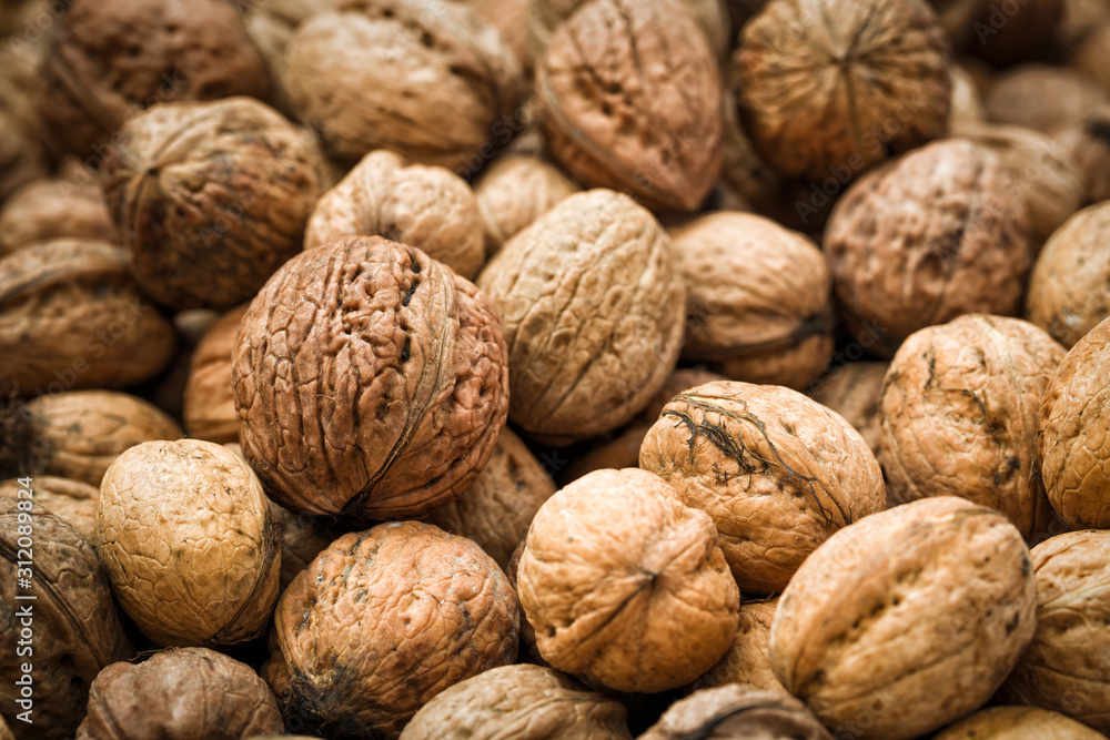Walnuts from a garden in detail,Photographed 12.10.2019 Walnuts from a garden in detail,Photographed 12.10.2019