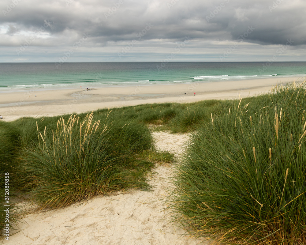 path through grass to the beach path through grass to the beach