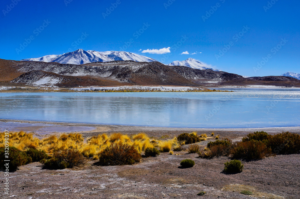 Fototapeta premium Lagoon view in the altiplano in Bolivia
