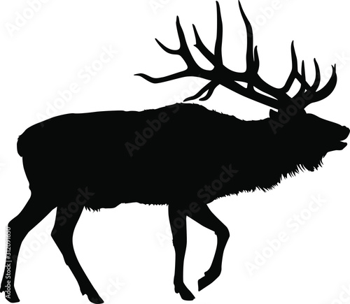 A vector silhouette of a large bull elk bugling. photo