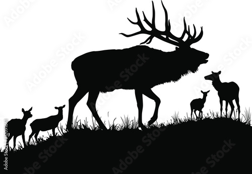 A vector silhouette of a large bull elk bugling.