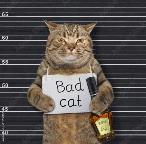 The beige cat with a sign on his neck that says Bad Cat is holding a bottle of rum in the prison. Black lineup background.