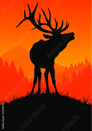 Fototapet A vector silhouette of a large bull elk bugling.