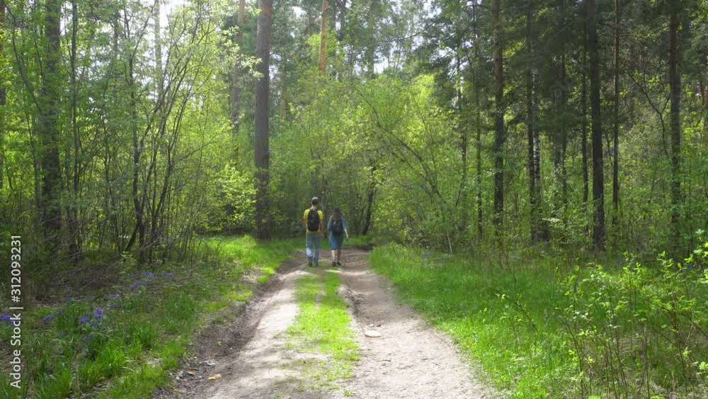 A young couple with backpacks walking through a summer green forest. The view from behind. 4k footage. A young couple with backpacks walking through a summer green forest. The view from behind. 4k footage.