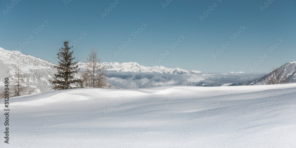 Panorama einer Winterlandschaft mit Bäumen im Zillertal in Tirol Panorama einer Winterlandschaft mit Bäumen im Zillertal in Tirol