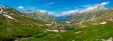 Summer landscape of Switzerland nature near Grimsel pass