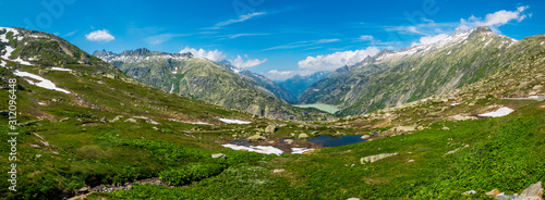 Summer landscape of Switzerland nature near Grimsel pass