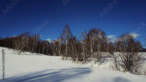winter mountain landscape with trees and snow © Denis Tuev