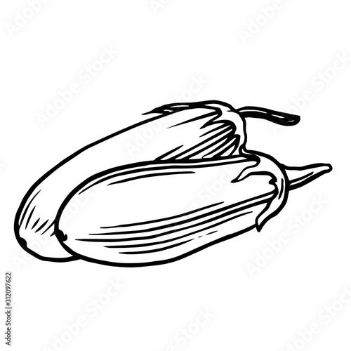 eggplant. Vector. Outline drawing of a vegetable on a white background. Sketch. Drawing marker on paper. Isolated object.