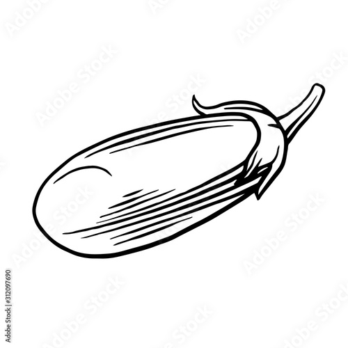 eggplant. Vector. Outline drawing of a vegetable on a white background. Sketch. Drawing marker on paper. Isolated object.