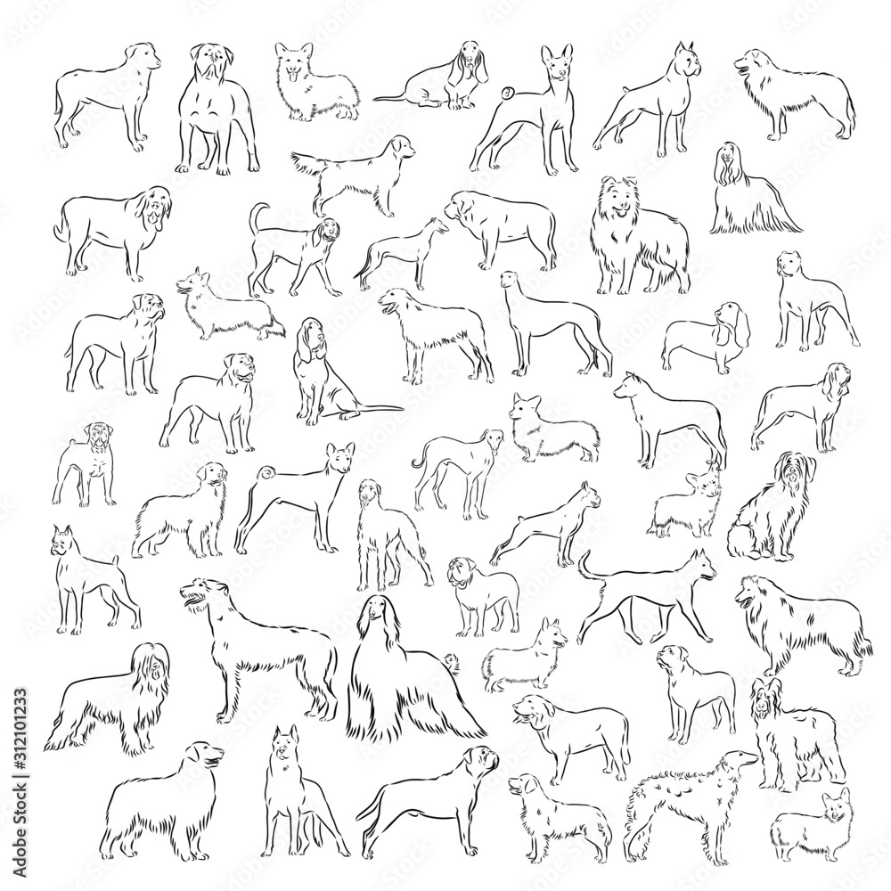 big set of dog, vector sketch illustration 