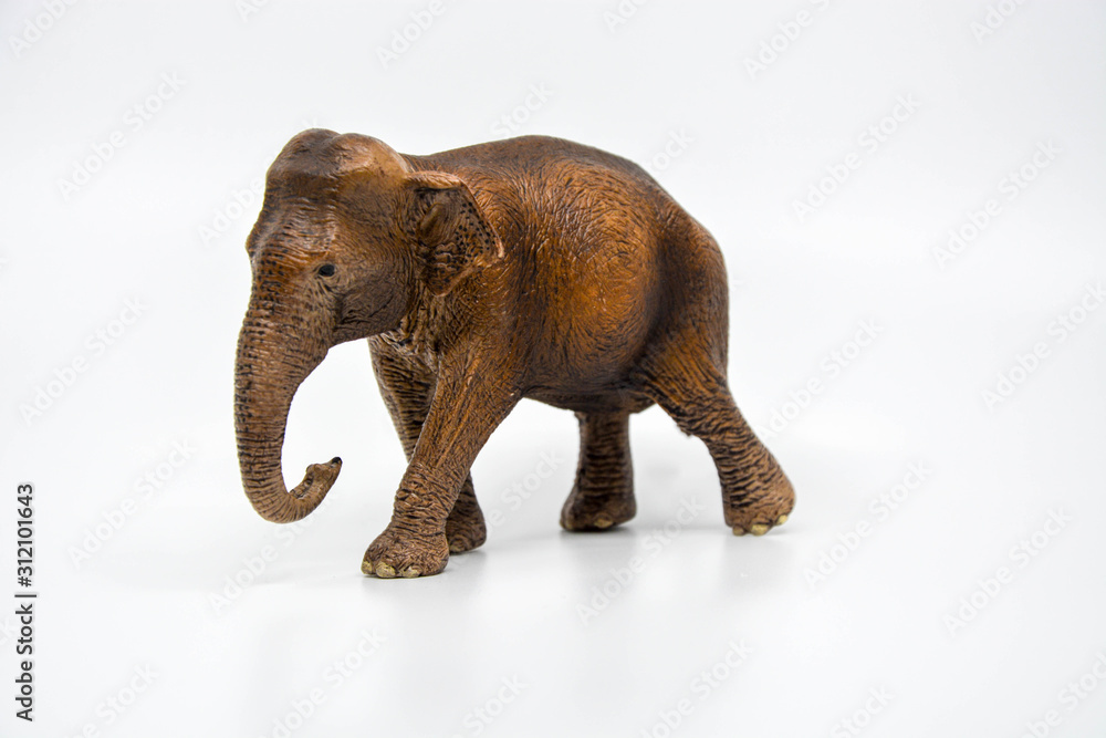 elephant isolated on white background elephant isolated on white background