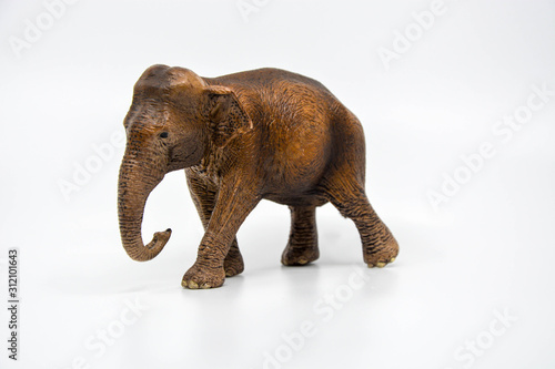 elephant isolated on white background