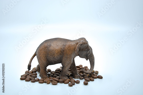 elephant in coffee
