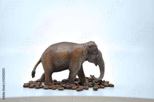 elephant on white background