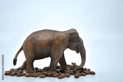 elephant isolated on white background