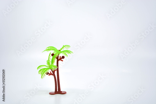 plant in pot