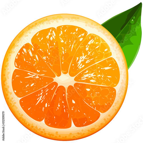Vector orange slice on a white background.