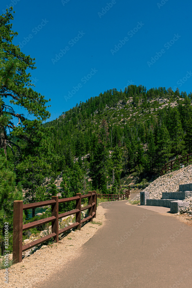 Fototapeta premium Park paths