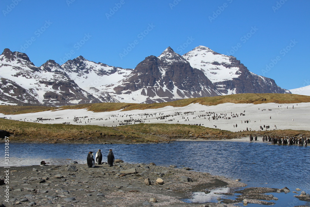 Schneebedeckte Berge in Südgeorgien - Kreuzfahrt Antarktis