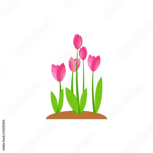 Summer and spring blossom forest and garden pink flowers isolated on white background. Nature springtime flower. Vector illustration