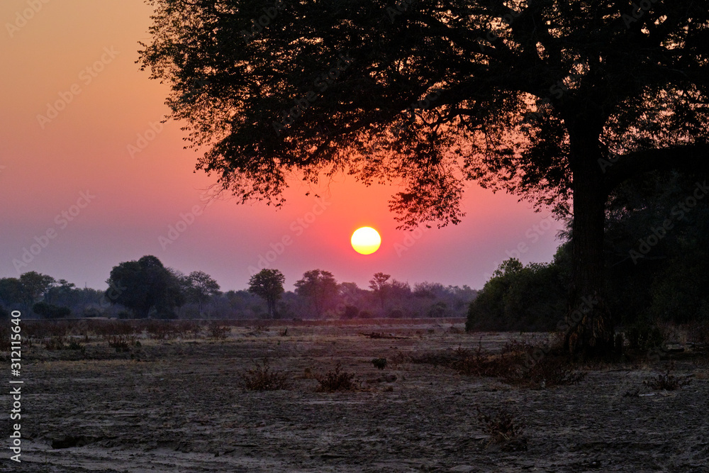 Sunset in Mana Pools National Park, Zimbabwe Sunset in Mana Pools National Park, Zimbabwe