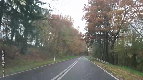 Wallpaper Mural road in the forest Torontodigital.ca