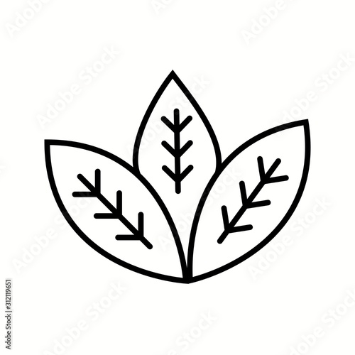 Unique Spearmint Vector Line Icon