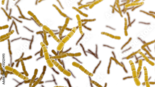 Bild auf Leinwand Streptococcus pneumonia cells, isolated on white background
